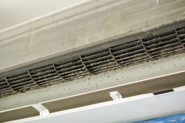 Best Emergency Air Duct Cleaning  in Lincoln, CA